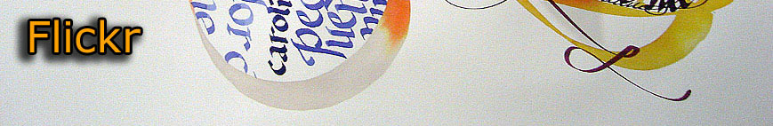 Flickr Cl�udio Gil